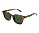 BROWN & GREEN   003 / 49