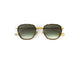 GOLD & HAVANA   C.I-4-25 / .