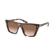 CARAMEL TORTOISE    07R0A6 / 55