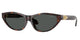 TORTOISE 108/87 / 55