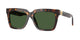TORTOISE 108/71 / 55