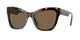 TORTOISE   108/73 / 56