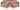 OAKLEY   0O9455M - Dayal Opticals   