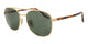 GOLD & GREEN   001/31 / 58