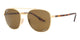 GOLD & BROWN   001/AN / 58