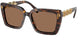 TORTOISE & GEMS   100273 / 55