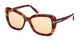 TORTOISE   53E / 55