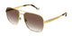 GOLD & BROWN   003 / 60
