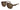 Gucci 1263S Brown 003 Size 57, Sunglasses - Dayal Opticals