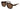 Gucci 1263S Tortoise 006 Size 57, Sunglasses - Dayal Opticals