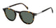 DARK TORTOISE  3MA / 49