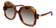 TRANSPARENT TORTOISE    002 / 57