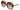 Gucci 1431S Transparent Tortoise 002 Size 57, Sunglasses - Dayal Opticals 