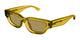 TRANSPARENT BROWN   003 / 53