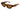 Bottega Veneta Eyewear & Sunglasses
