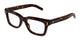 TORTOISE & TRANSPARENT   006 / 51