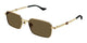 GOLD  & BROWN   002 / 56