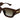 Gucci 1558SK Havana 002 Size 51, Sunglasses - Dayal Opticals