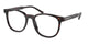 BRIAR TORTOISE   17N1O1 / 50