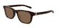 TORTOISE & BROWN  002 / 51