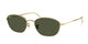 ARISTA GOLD    001/31 / 55