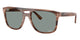 BROWN TORTOISE   1423O9 / 55