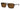 Ray Ban Eyewear & Sunglasses