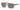 Ray Ban Eyewear & Sunglasses