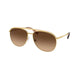 GOLD & BROWN    400474 / 58