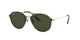 TORTOISE GOLDEN   710 / 53