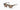 Akoni Leo Olive Aks101C Size 54 , Sunglasses - Dayal opticals      