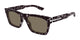 TORTOISE & BROWN 002 / 55