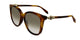 TORTOISE & GRADIENT BROWN GREY 005 / 57