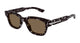 TORTOISE & BROWN 002 / 51