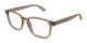 TRANSPARENT BROWN 005 / 53