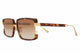AMBER TORTOISE / 57