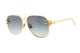 GOLD GREY LENS / 60
