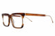 HONEY TORTOISE / 53