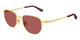 GOLD & BROWN 006 / 52