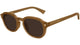 BROWN 004 / 49