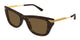 TORTOISE & BROWN 002 / 50