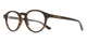 TORTOISE 002 / 50