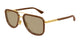 GOLD & BROWN 003 / 56