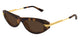 GOLD & HAVANA 002 / 53