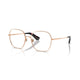 ROSE GOLD & CLEAR 1337 / 55