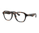 DARK HAVANA & CLEAR 3002 / 49