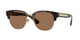 DARK HAVANA & DARK BROWN 420573 / 52