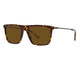 HAVANA BROWN & GREY 504/AN / 56