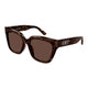 HAVANA BROWN 002 / 55