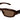 Balenciaga 0409S Dark Tortoise 002 Sunglasses, Size 58 – Dayal Opticals